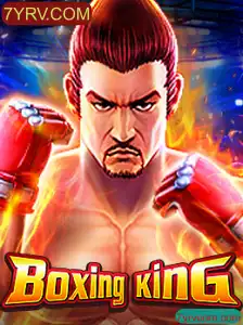 Desbravando o Empolgante Mundo do BoxingKing